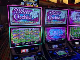 1X2 market display showing home win, draw, and away win odds